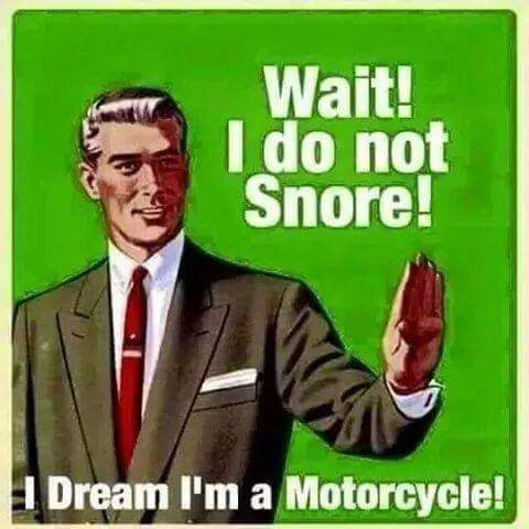File:Wait! I do not snore! I dream I'm a motorcycle!.jpg