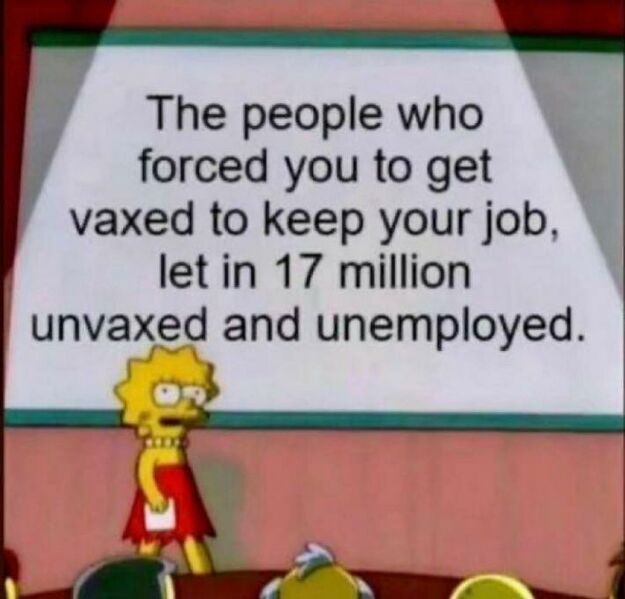 File:The people who forced you to get vaxed to keep your job, let in 17 million unvaxed and unemployed.jpg