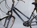 CCM Avenue Bicycle - IMG 20241112 165446.jpg