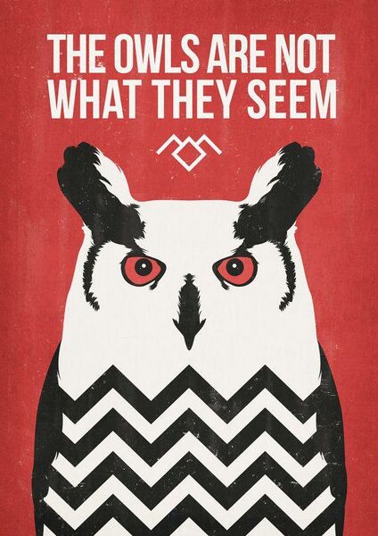 File:The owls are not what they seem. YOU REMIND ME TODAY OF A SMALL MEXICAN CHIHUAHUAU. - Imgur.jpg
