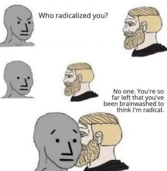 File:Who radicalized you.jpg
