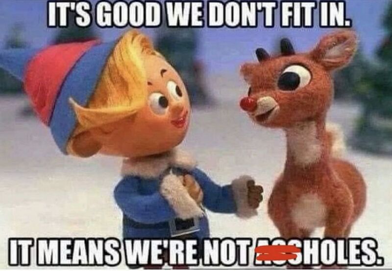 File:Rudolph + Elf - It's good we don't fit in. It means we're not assholes. - -5096038835292318233 121.jpg