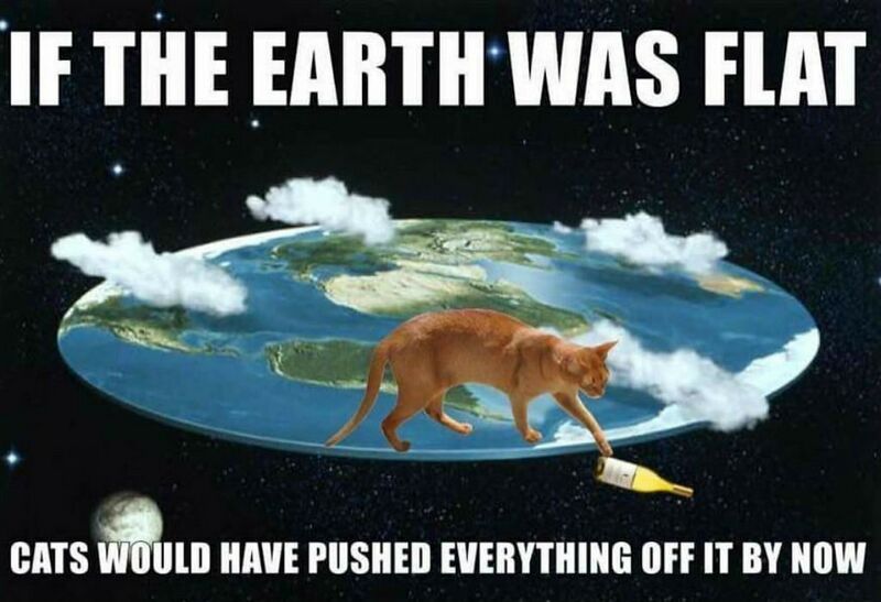 File:If The Earth Was Flat - Cats Would Have Pushed Everything Off It By Now - 76983690 116231103153736 7340668939355029504 o.jpg