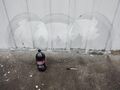 Three Glass Bowl Windows Round 26''x5'' Deep - IMG 20241122 113314.jpg