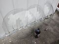 Three Glass Bowl Windows Round 26''x5'' Deep - IMG 20241122 113336.jpg