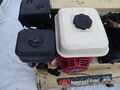 Ingersol Rand Honda GX 160 5.5 Compressor - IMG 20241112 170416.jpg