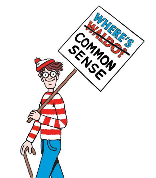 File:Where's Waldo Common Sense.png