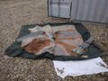Trail Master Tent - IMG 20241122 142301 (1).jpg