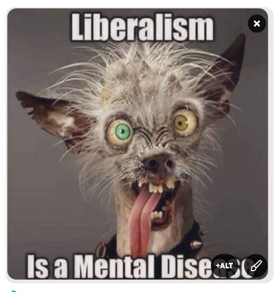 File:Liberalism Is A Mental Disease.png