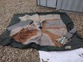 Trail Master Tent - IMG 20241122 142304.jpg
