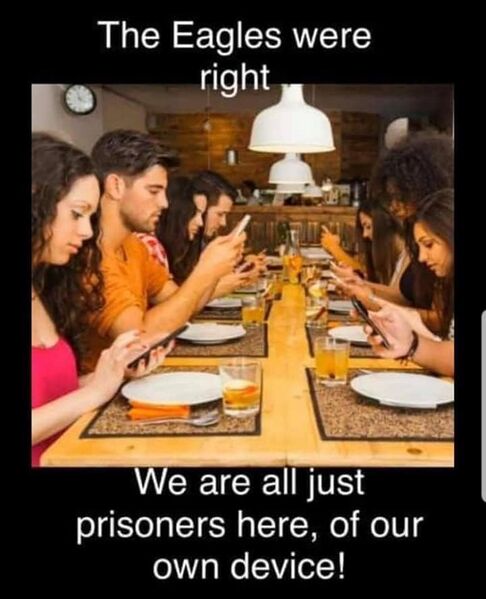 File:The Eagles were right - we are all just prisoners here, of our own device! - 75398104 10157345485401839 2778745563070332928 n.jpg