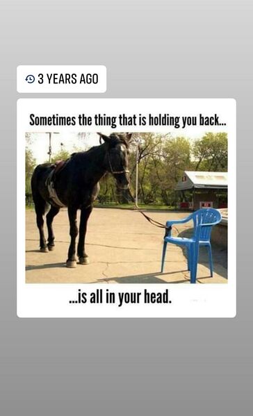 File:Sometimes the thing that is holding you back - is all in your head. - 75439414 10213266343287685 3299022808792694784 o.jpg